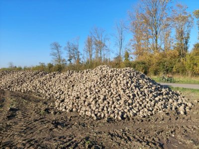 Graanrepubliek_oktober_2024_80